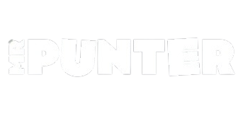 Mr Punter Casino logo